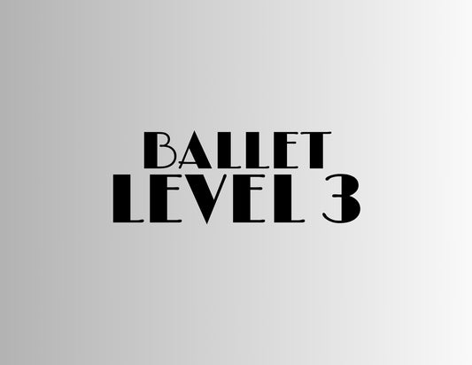 BALLET LESSON PLANS 3